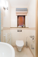 Small functional toilet with white toilet bow