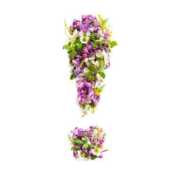 Exclamation mark from natural meadow flowers and lilacs on a white background..