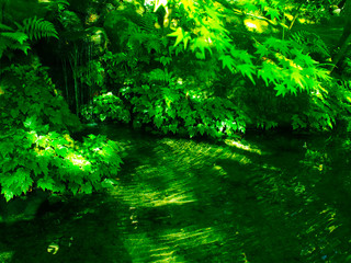 瑠璃光院　京都