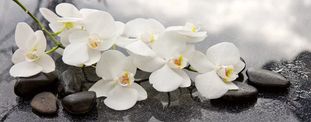Rolgordijnen Spa stenen en witte orchidee op grijze achtergrond. © Swetlana Wall
