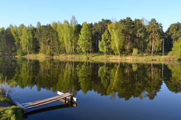 Obraz premium Wooden platform and calm water of the lake. The spring forest and the blue sky are reflected in the water.