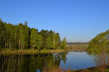 Forest is reflected in the calm blue water of the forest lake.