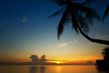 Fototapeta na wymiar Golden dawn over the beach with silhouette coconut palm tree .Rawa island , Malaysia . Selected focus on center .