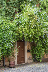 Fototapeta na wymiar Entrance to a building through a door in a thickly vegetated wal