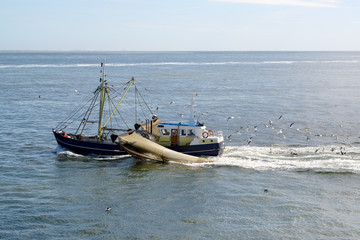 Naklejka na ściany i meble Fishing boat dragging a net throught the water of the Waddensea, The Netherlands. Lots of seagulls