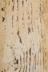 aged pastel paint on old wooden planks grunge texture