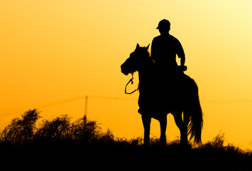 Fototapeta na wymiar Silhouette of a man on a horse at sunset