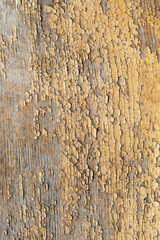 aged pastel paint on old wooden planks grunge texture