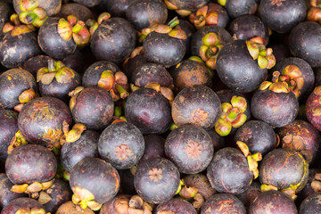 a lot of mangosteen