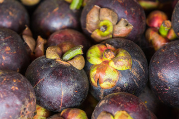 Mangosteen