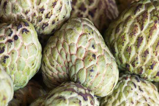 ripe fruit anona