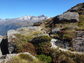 Routeburn track