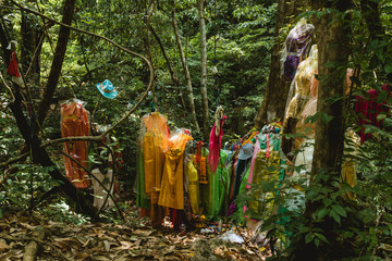 Sacred trees in the Erawan Waterfall,Kanchanburi,Thailand.	