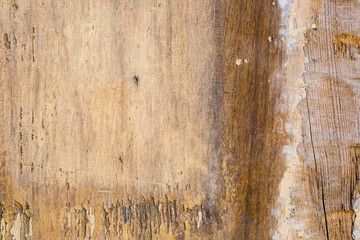 aged pastel paint on old wooden planks grunge texture