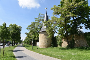 Fototapete bei efototapeten.de bestellen   