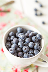 Big White Bowl Full of Ripe Blueberries on the White Wooden Background