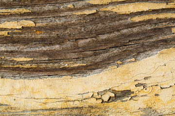 aged pastel paint on old wooden planks grunge texture