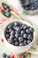 Blueberries in a Bowl on a Light Rustic Wooden Table, Vertical View