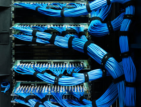 Detail of blue cables on data storage equipment in data centre