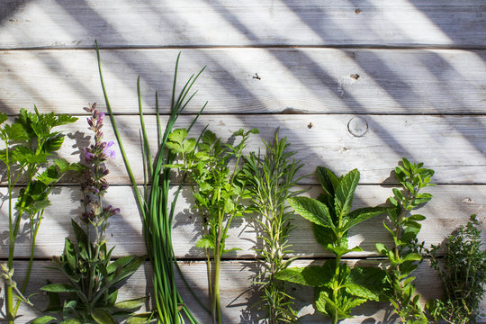 Selection of herbs in a row on wooden surface, overhead view