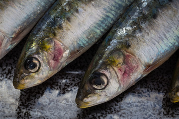 Close up of two sardine heads