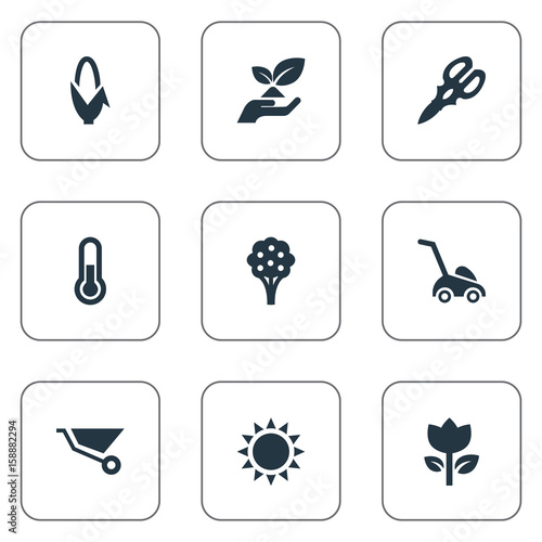 Vector Illustration Set Of Simple Garden Icons Elements Apple