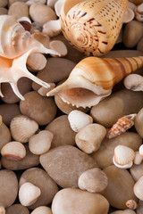 Sea pebbles background, natural seashore stones