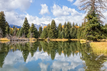 Scenic Autumn Landscape