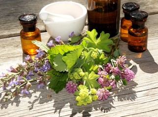 Rot-Klee, Frauenmantel, Heilkräuter, Phytohormone