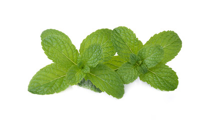 fresh mint leaves on a white background