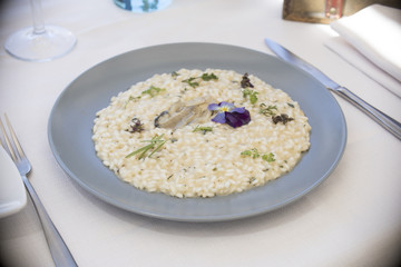 food, plate, cuisine, delicious, dinner, oyster, cooked, meat, background, healthy, rice, seafood