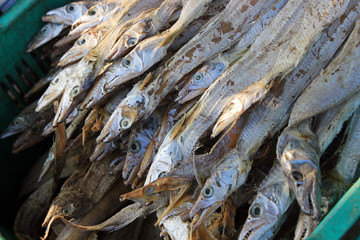 Sea fish. Fish market.