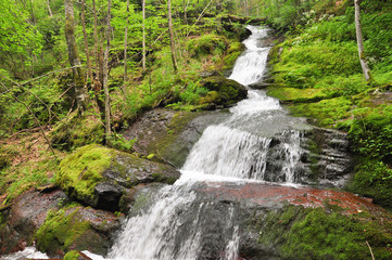 Beautiful waterfall in green forest in jungle. Jungle landscape with flowing red water of waterfall at deep tropical rain forest. National Park Old Mountain, Serbia