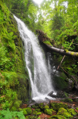 Naklejka premium Beautiful waterfall in green forest in jungle. Jungle landscape with flowing red water of waterfall at deep tropical rain forest. National Park Old Mountain, Serbia