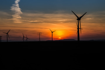 Obraz premium wind turbines at sunset