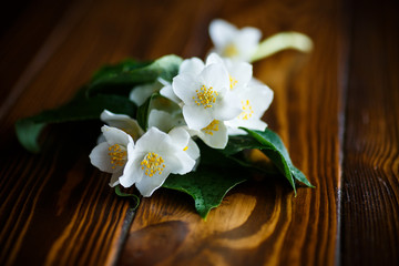 Fototapeta na wymiar White jasmine flower