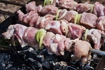 Pork meat on an open fire. Cooking meat on an open fire. B-B-Q. Shag on the barbecue. Cooking with coal

