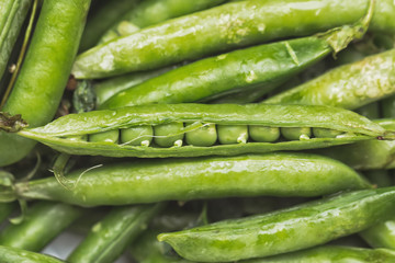 Green peas vegetables. One pod is opened with seeds closeup view as a background