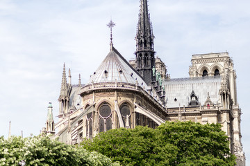 Fototapeta na wymiar Church Notre Dame in Paris