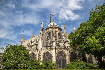 Fototapeta na wymiar Church Notre Dame in Paris