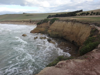 New Zealand countryside