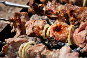 Pork meat on an open fire. Cooking meat on an open fire. B-B-Q. Shag on the barbecue. Cooking with coal
