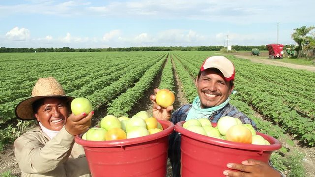 Mexican farmers show off fruit