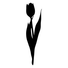 Monochrome black tulip spring flower silhouette isolated vector