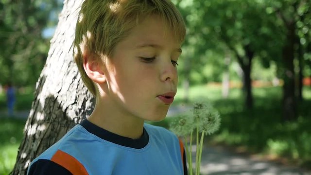 Handsome boy blowing dandelion seeds in the Park , slow motion