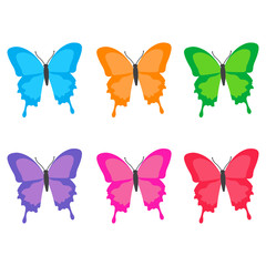Collection of colorful bright butterflies