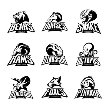 Bear, horse, snake, ram, fox, piranha, dinosaur, octopus head isolated vector logo concept. 
Modern badge mascot design. Premium quality wild animal, fish, reptile t-shirt tee print illustration.
