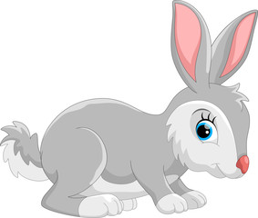 Cute rabbit cartoon