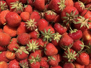 Strawberries backdrop