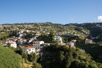Fototapeta na wymiar View over the vineyards of the Madeira Wine Company, Estreito de Camara de Lobos, Madeira, Portugal